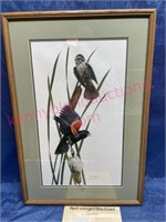 Signed Ray Harm litho "Red-winged Blackird" 18x27