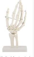 Maymii High Quality Pvc Human Hand Skeleton