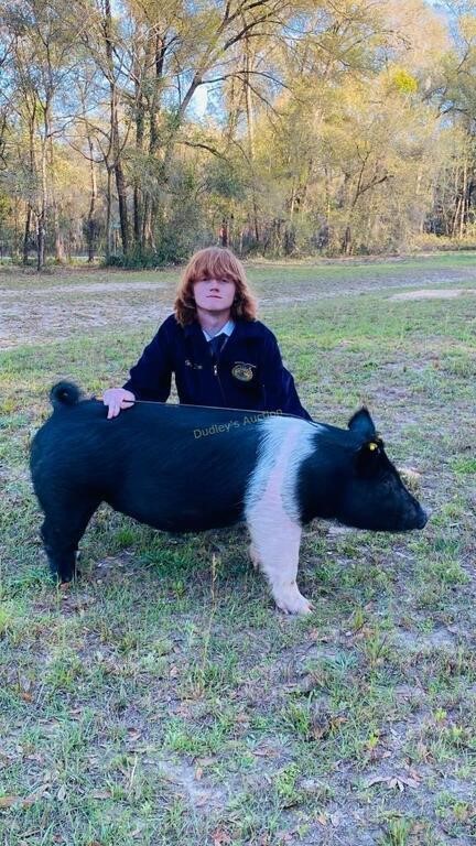 3/31/2023 Citrus County Fair Youth Swine Auction