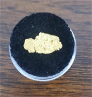 Alaska Natural Gold Nugget