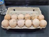 Dozen Turkey Eggs Unwashed