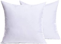 Set of 2 Throw Pillow Inserts-16"x16"
