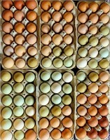 2 dozen fresh eggs