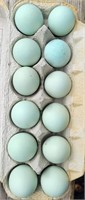 1 Dozen Blue Ameraucana Hatching Eggs.