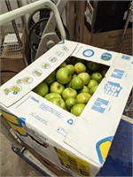 40 lb box of Granny Smith Apples