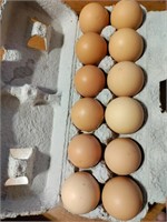 1 dozen Hatching eggs