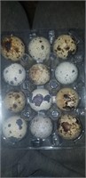 Quail eggs fertile 1 dozen