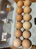 1 dozen hatching eggs