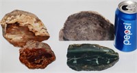 4 Different Species Petrified Wood Rocks