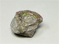 2.5" piece Ammolite