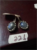 Bluish purplish earrings