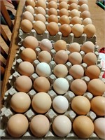 1 dozen hatching eggs