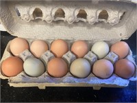 Dozen fresh chicken eggs