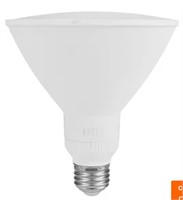 EcoSmart PAR38 Flood LED Light Bulb (1-Pack)