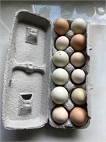 1 dozen farm eggs