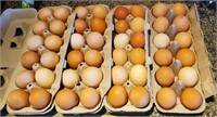 Organic Free Roaming Chicken Eggs. 1 dozen