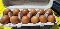 Black Copper Maran 1 dozen fertile eggs