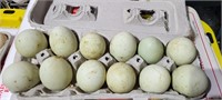 Anacana Fertile Eggs