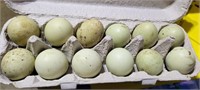 Orpington & Araucana Fertile Chicken Eggs. 1 dozen