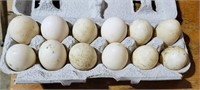 Fresh Duck Eggs. 1 dozen