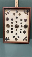 Antique Buttons-framed 9.5 in x13 in Bird Buttons