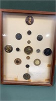 Lot of Mythology Antique Buttons in Display Case