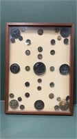 Antique Buttons -in display case 9.5 in x 12 in