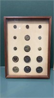 Antique Buttons 9.5” in display case 8.5 in x12