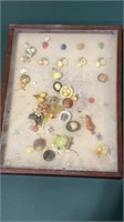 Antique Buttons in display box case 9.5 in x12 in