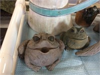 Pair of bulging eyes frogs