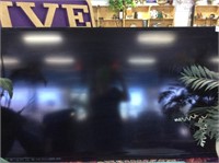 60 inch Vizio flat screen TV no remote