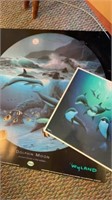 Dolphin Moon, Dolphin Playground Signed by Wyland
