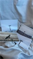 4 photos 8 x 12