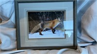 Fox in the Snow print