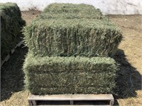 10 Small Square Bales of 4th Crop Grass Hay