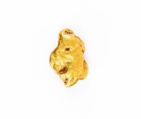 Coin 3.4 Gram Gold Nugget