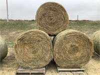 5 Round Bales of Grass Hay w/Little Clover