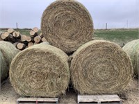 5 Round Bales of Grass Hay