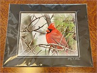 Cardinal Bird at Holly Lake Painting