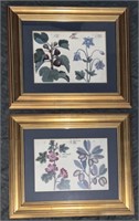 Botanical Framed Print Grouping