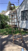 Werner 10’ Wood Ladder