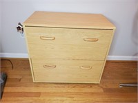 2 drawer storage cabinet