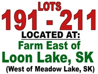 Lots 191 - 211 Located East of Loon Lake, Sk