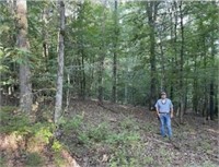 40 Acres of Prime South Arkansas Hunting Land