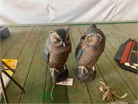 2 Owl Décor