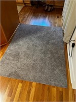 Small area rug about 3x5