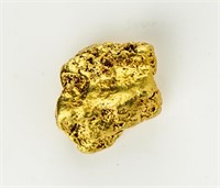 Coin 2.7 Gram Gold Nugget