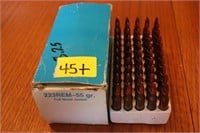 .223 REM Ammunition