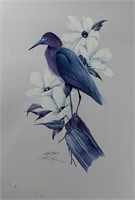 Art LaMay, Marsh Blue
