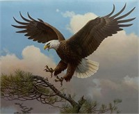 Owen Gromme, Our National Bird, Bald Eagle